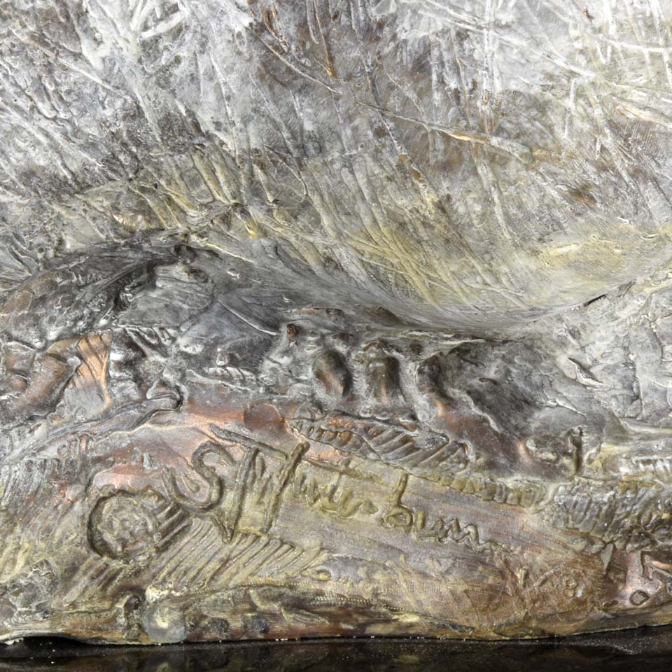 Steve Winterburn Elephant - Limited Edition Bronze 