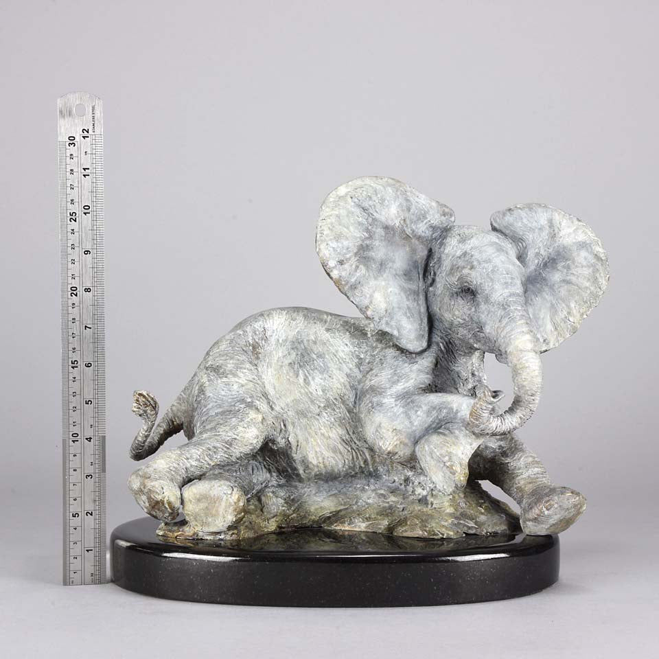 Steve Winterburn Elephant - Limited Edition Bronze 