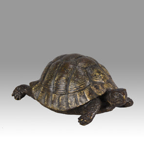 "Tortoise" by Franz Bergman
