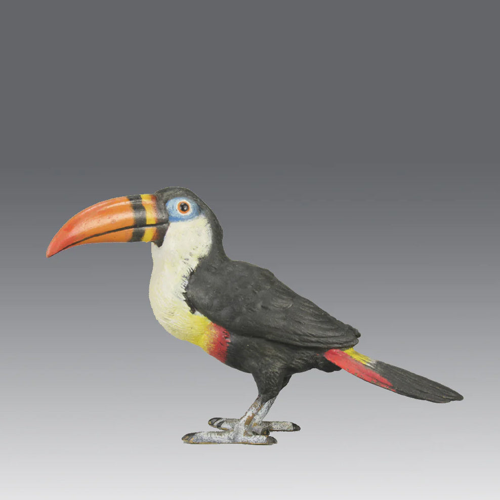 "Toucan" by Franz Bergman