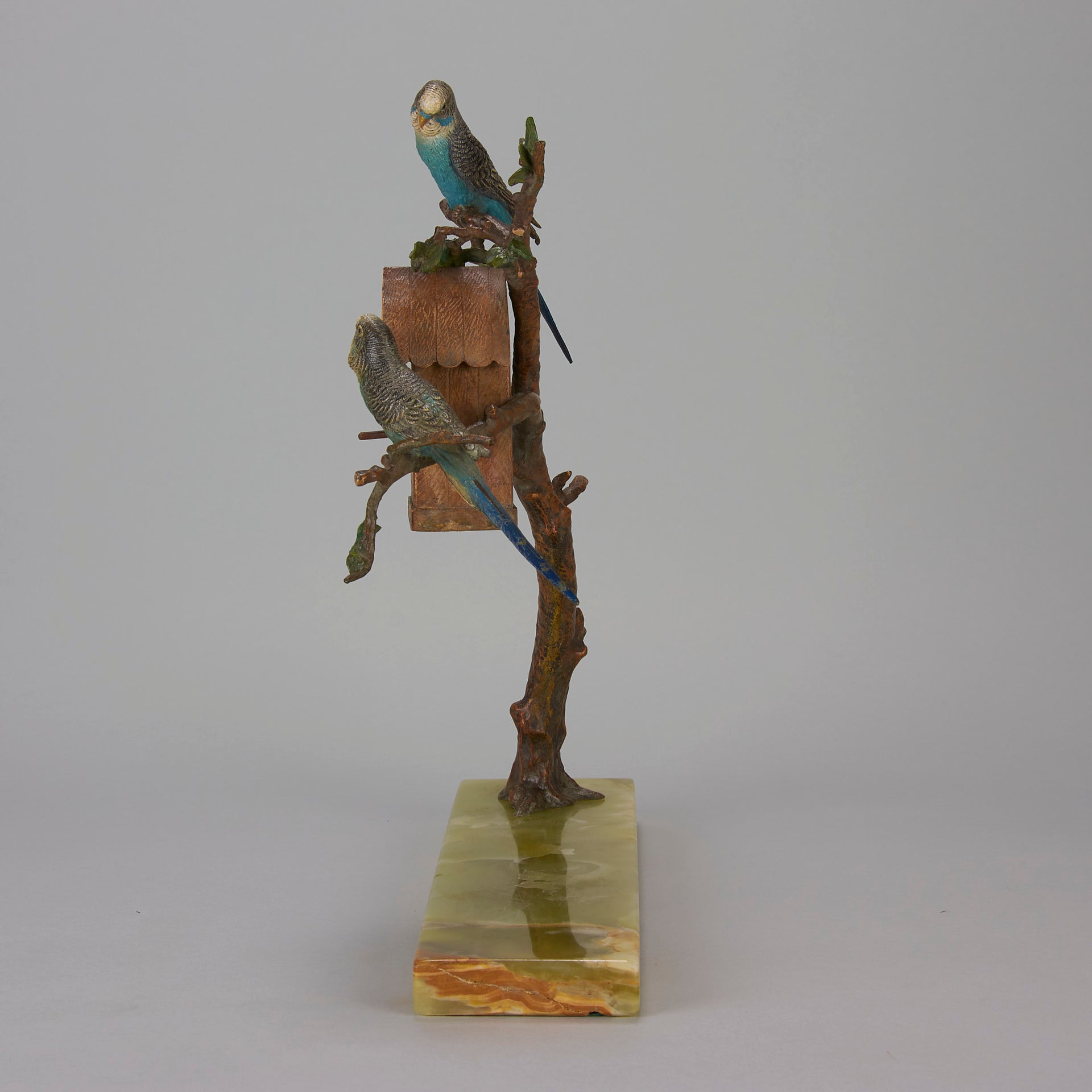 Vienna Bronze Budgies