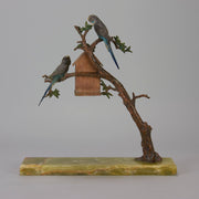 Vienna Bronze Budgies