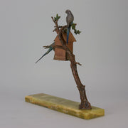 Vienna Bronze Budgies