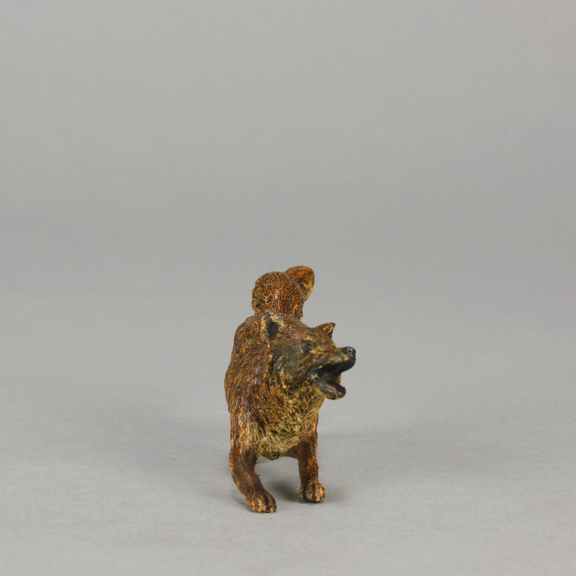 Vienna Bronze Fox A very fine early 20th Century cold-painted Austrian bronze figure of an energetic fox in a running pose