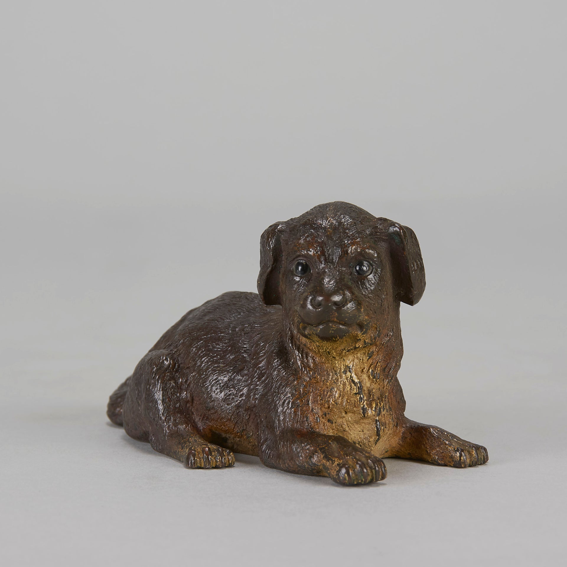 Vienna Bronze Reclining Puppy