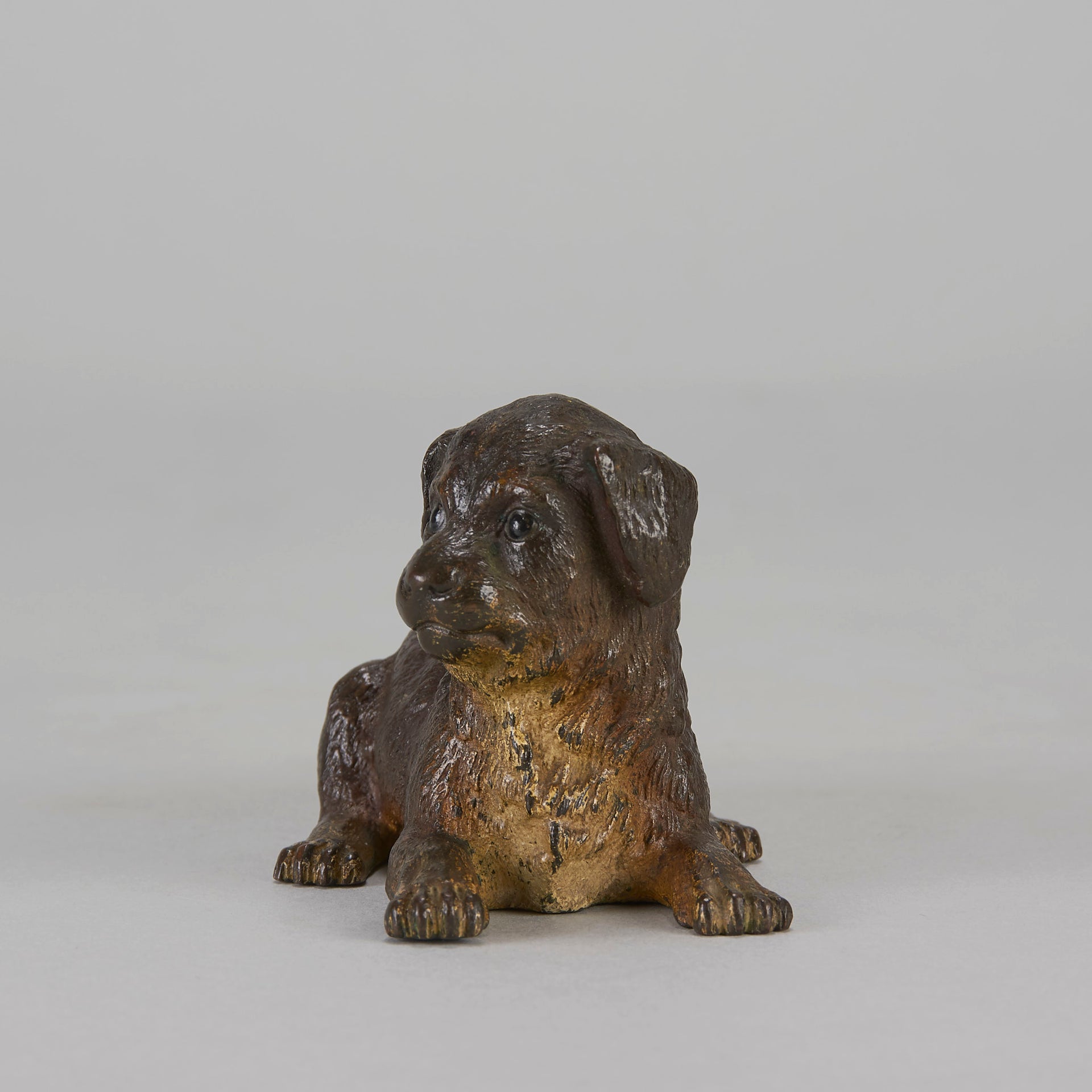 Vienna Bronze Reclining Puppy