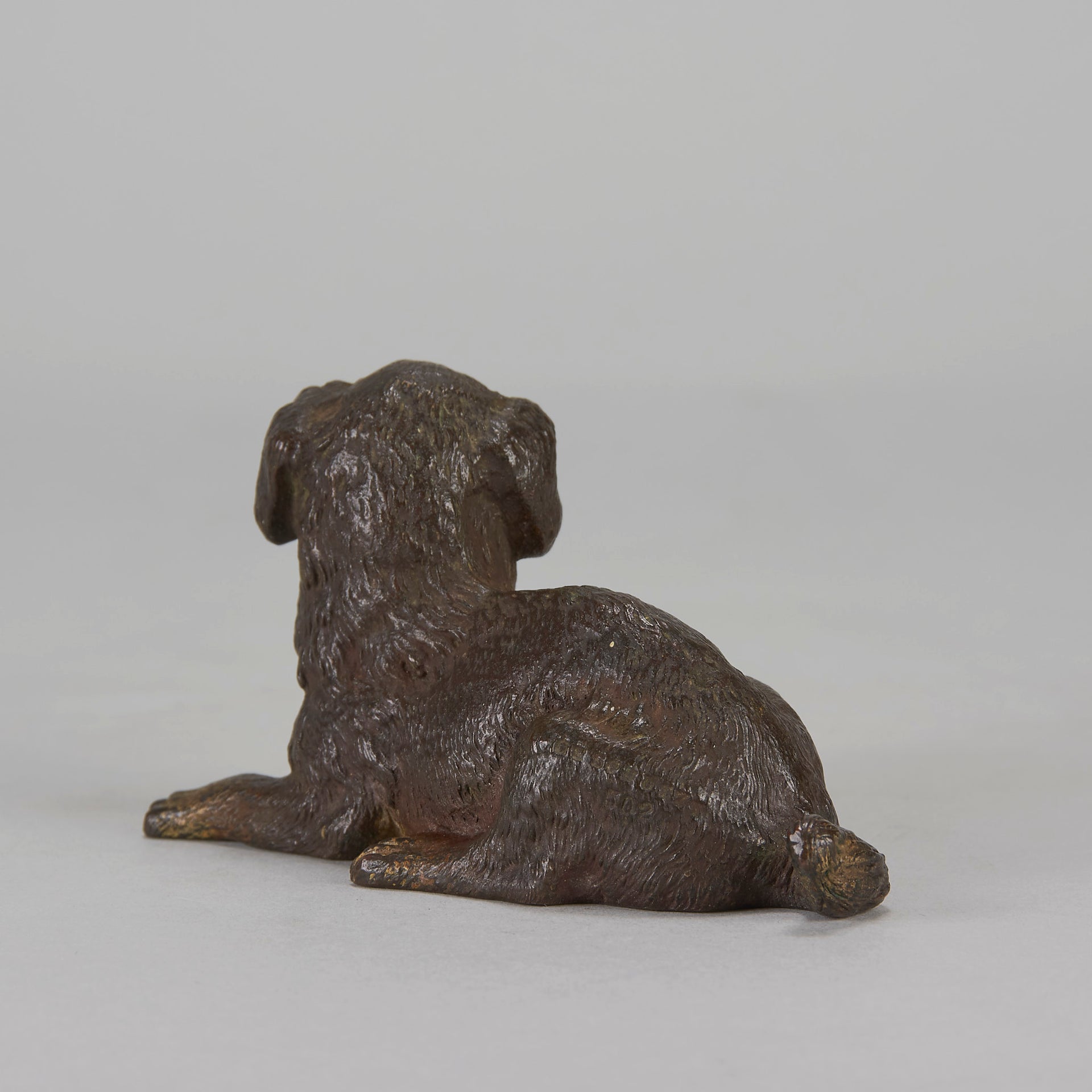 Vienna Bronze Reclining Puppy