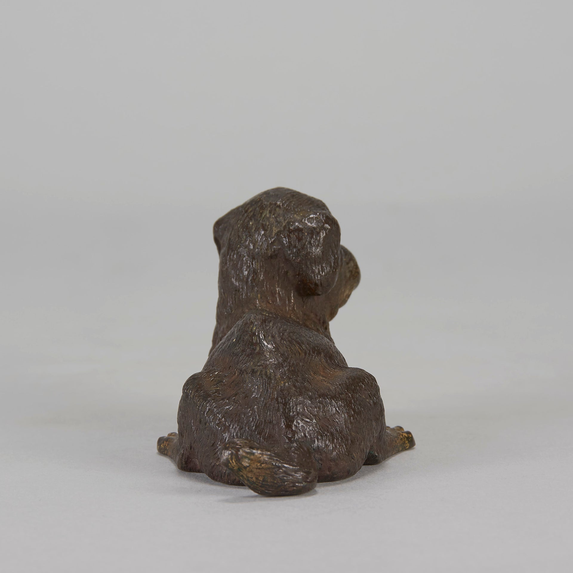 Vienna Bronze Reclining Puppy