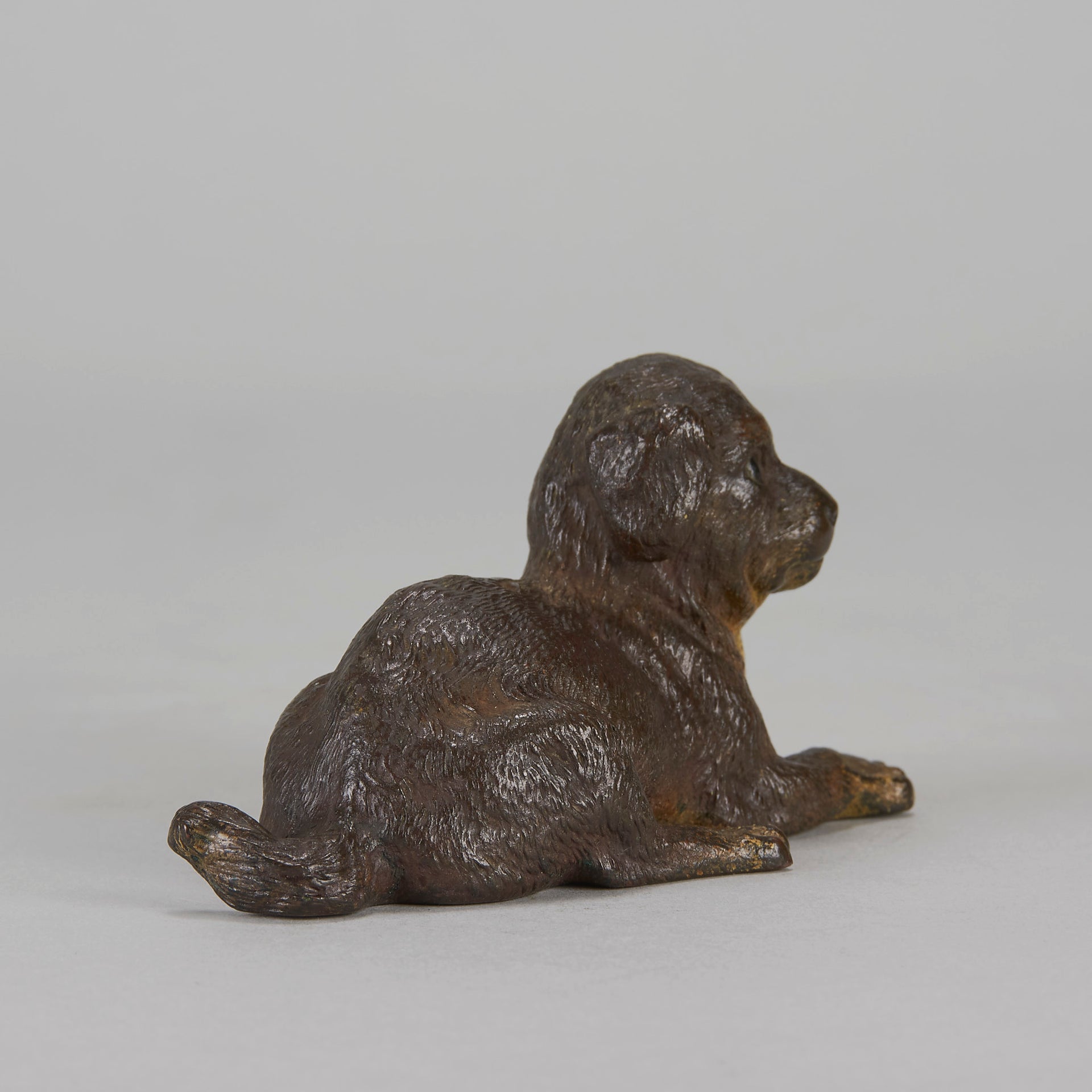 Vienna Bronze Reclining Puppy