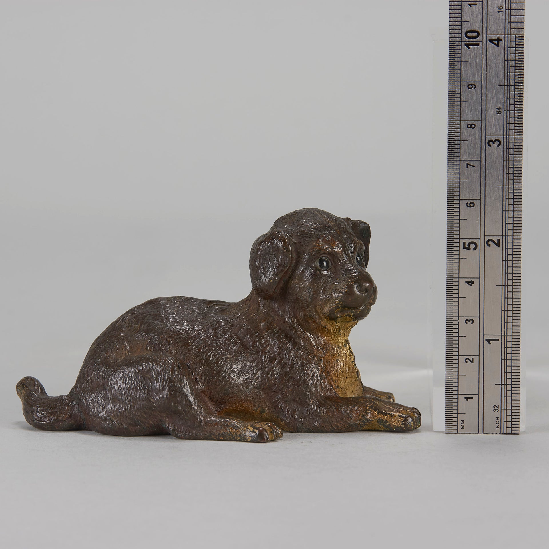 Vienna Bronze Reclining Puppy
