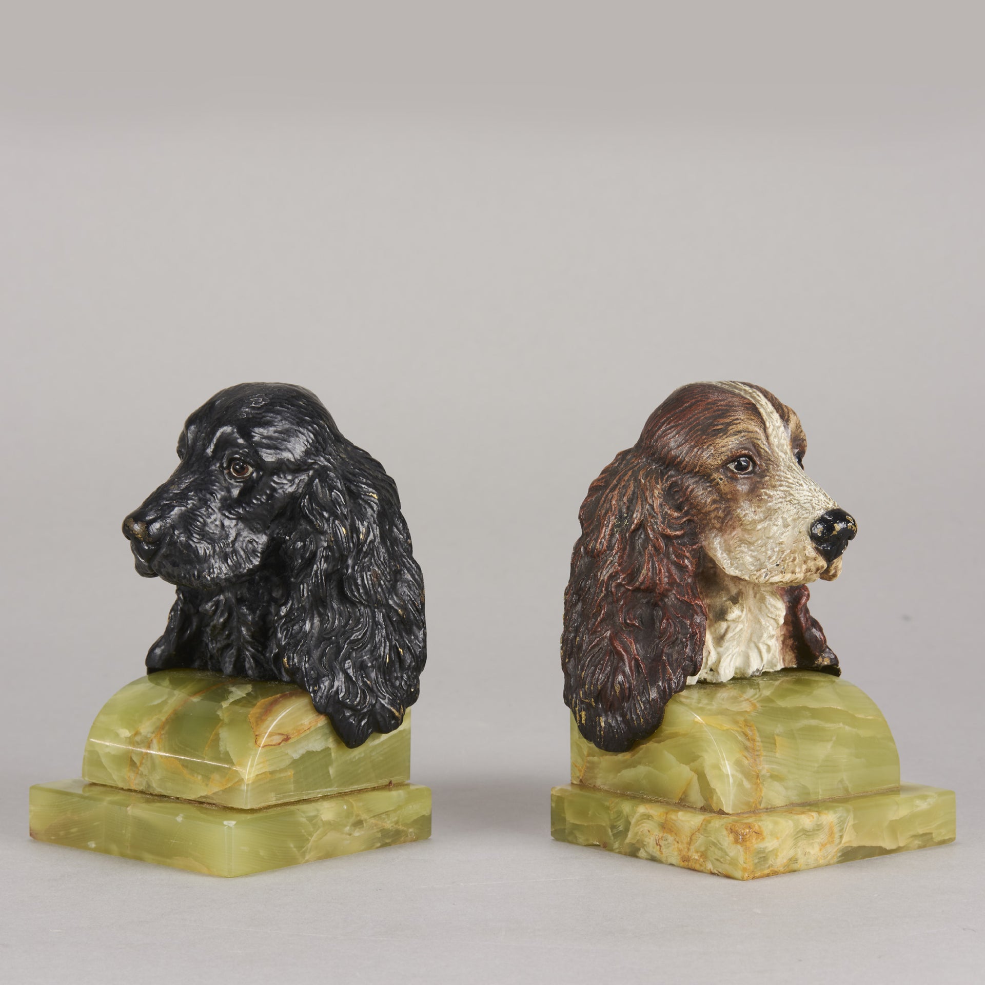 Vienna bronze spaniels