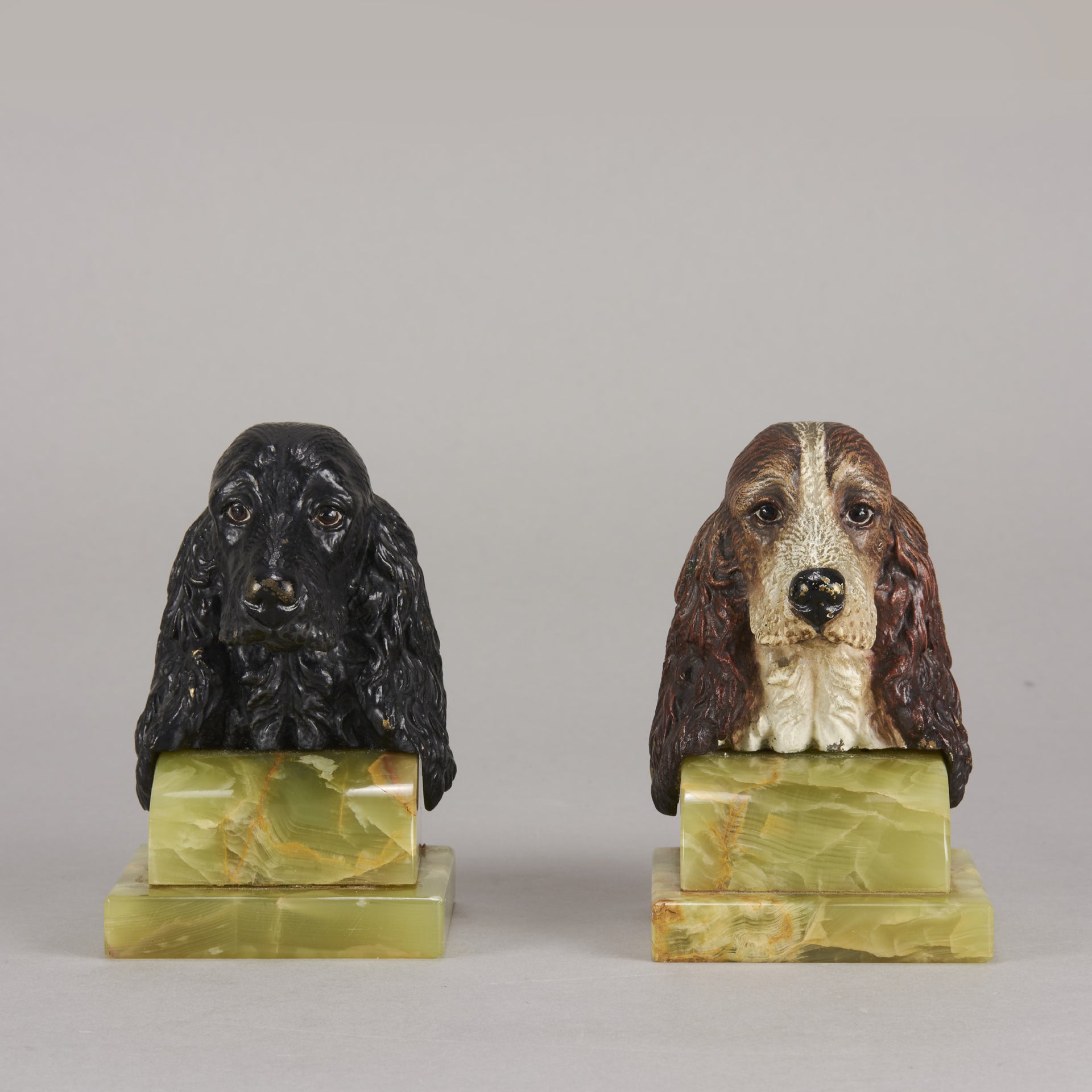 Vienna bronze spaniels