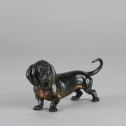Vienna Bronze Dachshund - Antique Austrian Bronze - Hickmet Fine Arts 