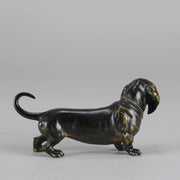 Vienna Bronze Dachshund - Antique Austrian Bronze - Hickmet Fine Arts 