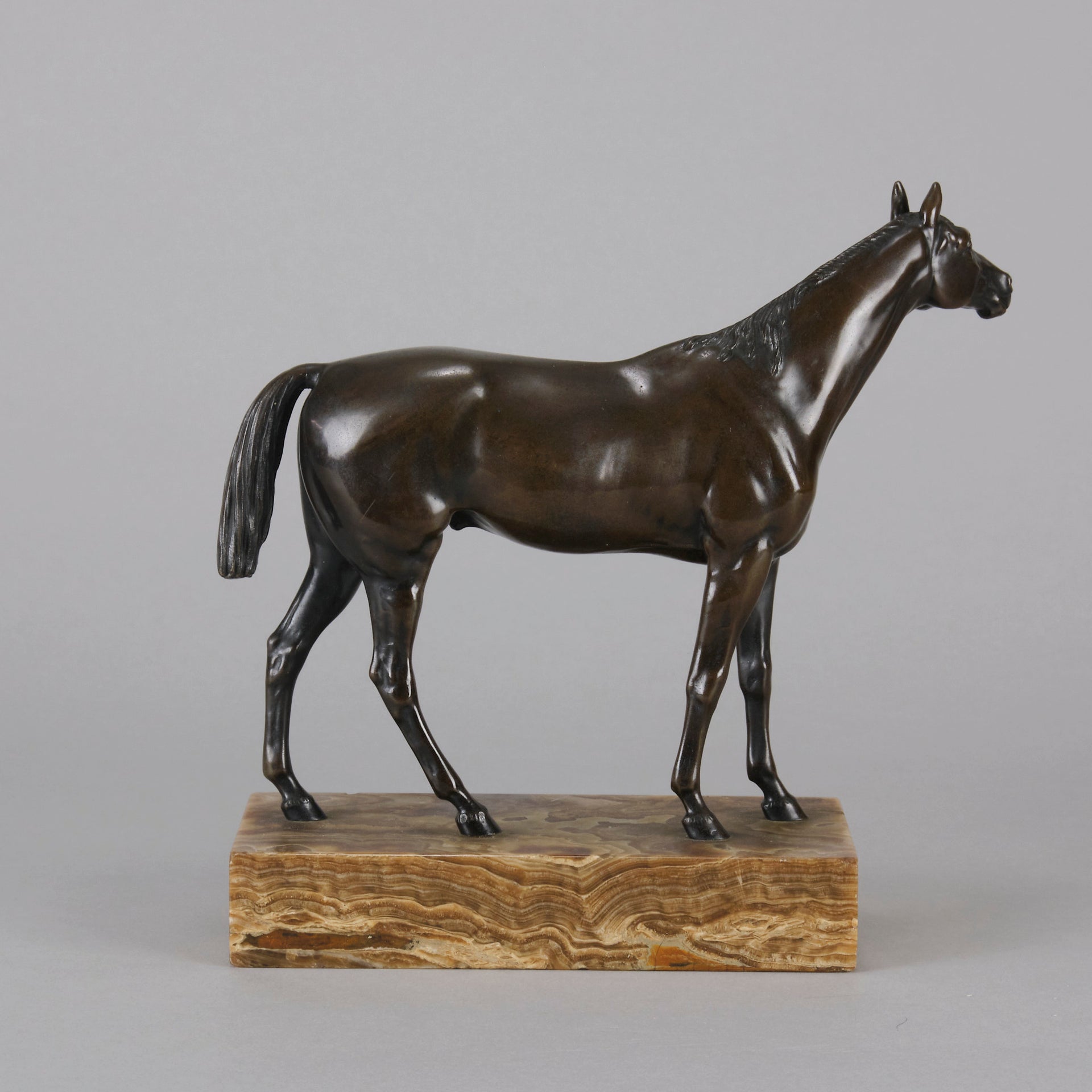 Vienna Bronze "Standing Thoroughbred" - Hickmet Fine Arts 