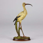 Vienna Bronze Ibis