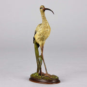 Vienna Bronze Ibis