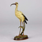 Vienna Bronze Ibis