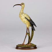 Vienna Bronze Ibis