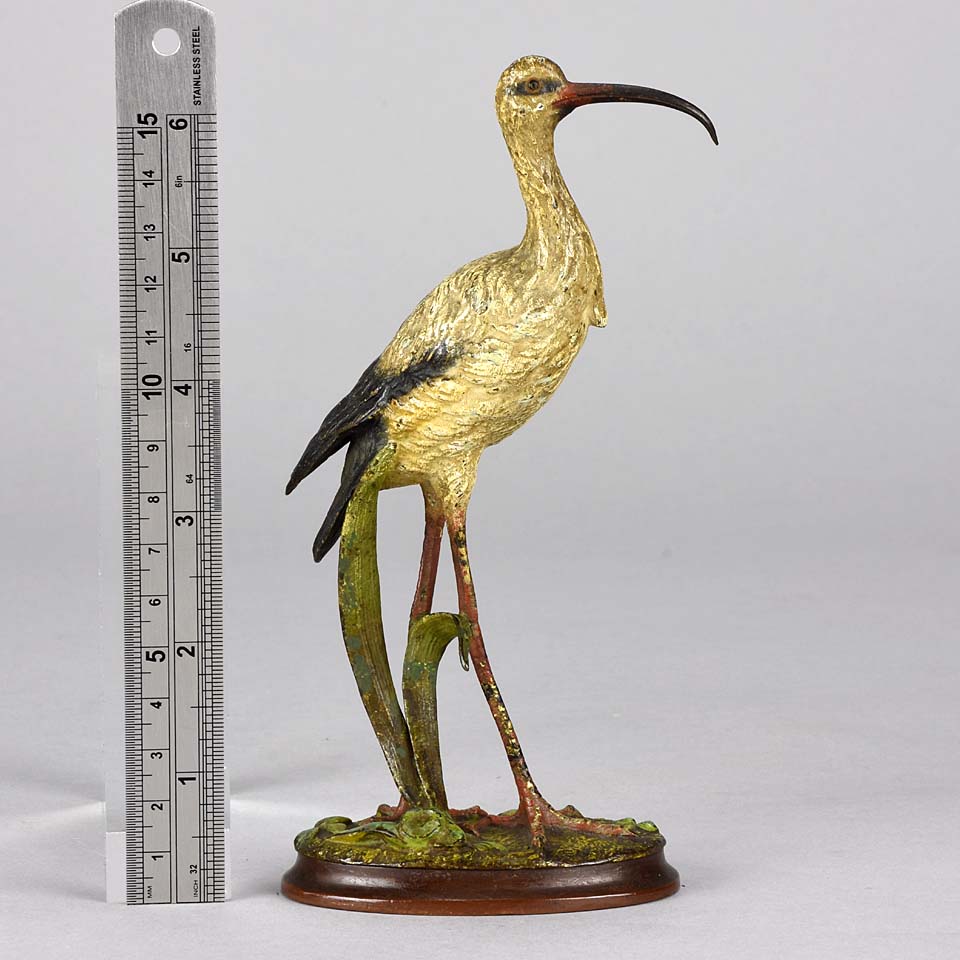 Vienna Bronze Ibis