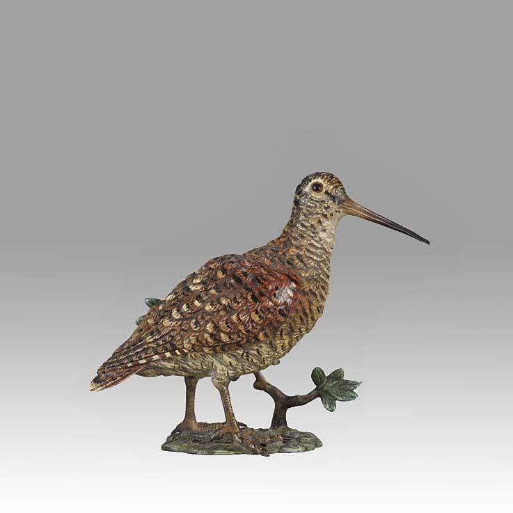 'Standing Woodcock' by Franz Bergman