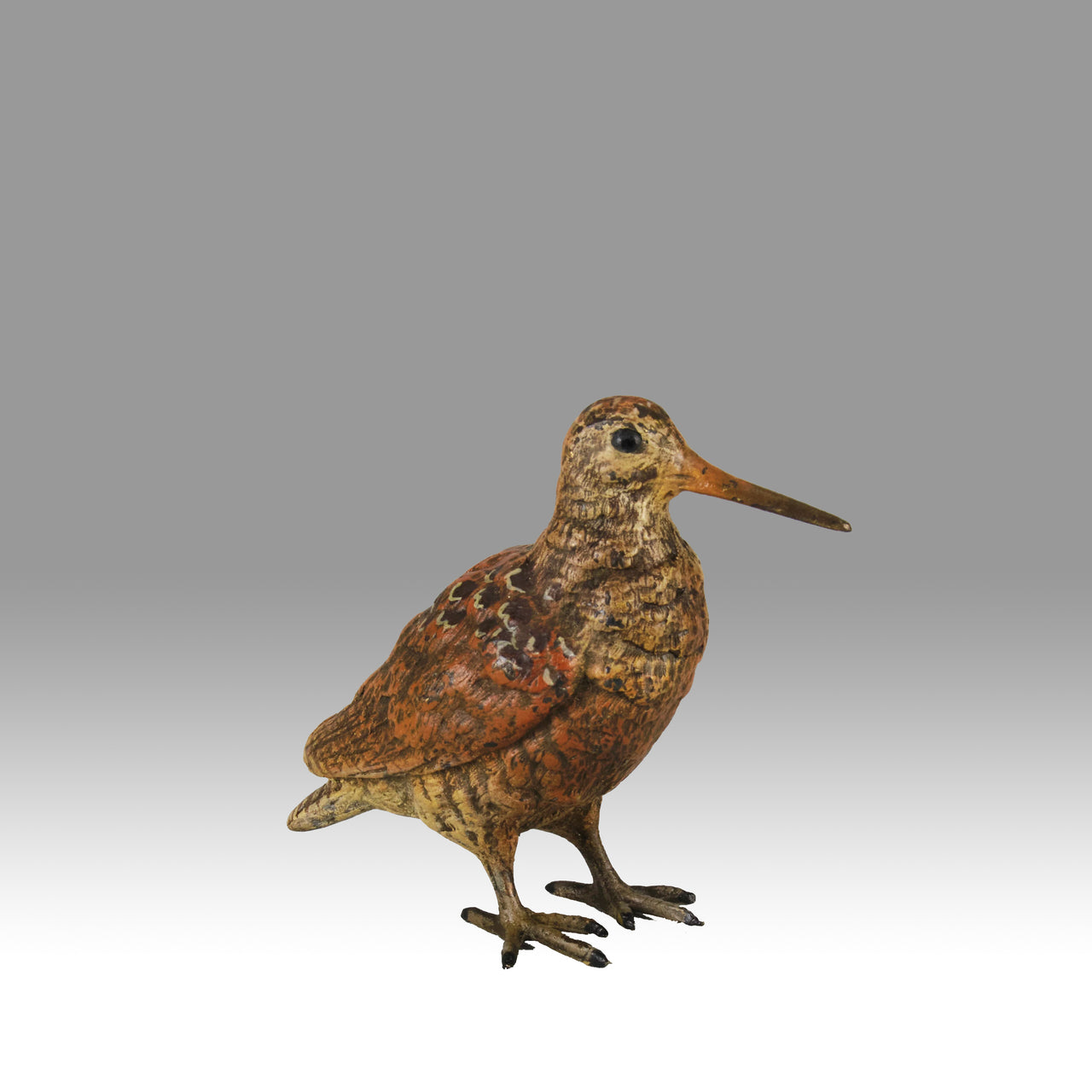 "Standing Woodcock" by Franz Bergman