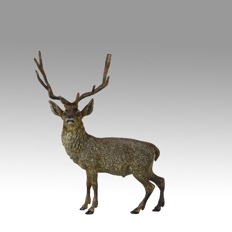Franz Bergman Stag - Austrian Bronze - Hickmet Fine Arts