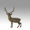 Franz Bergman Stag - Austrian Bronze - Hickmet Fine Arts