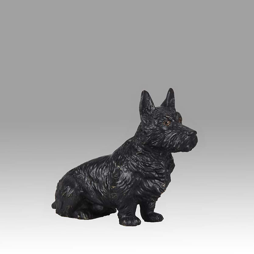 Franz Bergman ‘Seated Terrier’