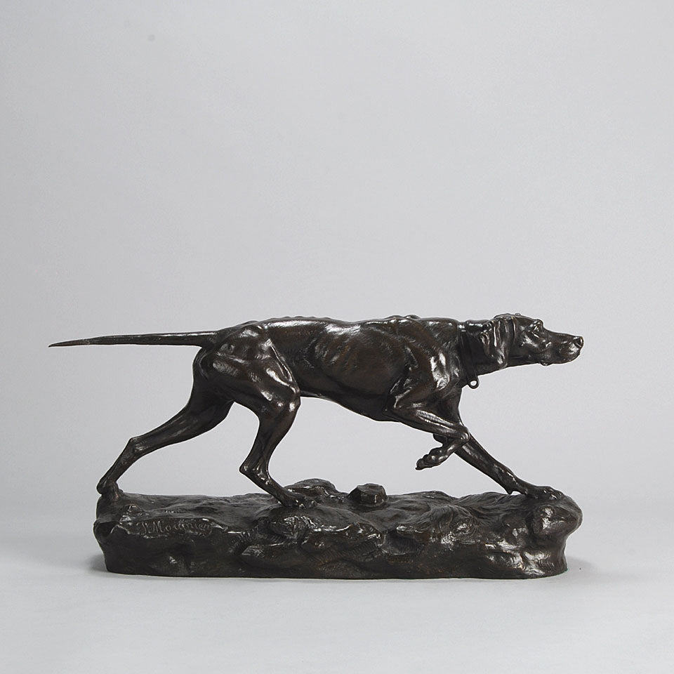 Bronze Pointer Moigniez