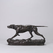 Bronze Pointer Moigniez