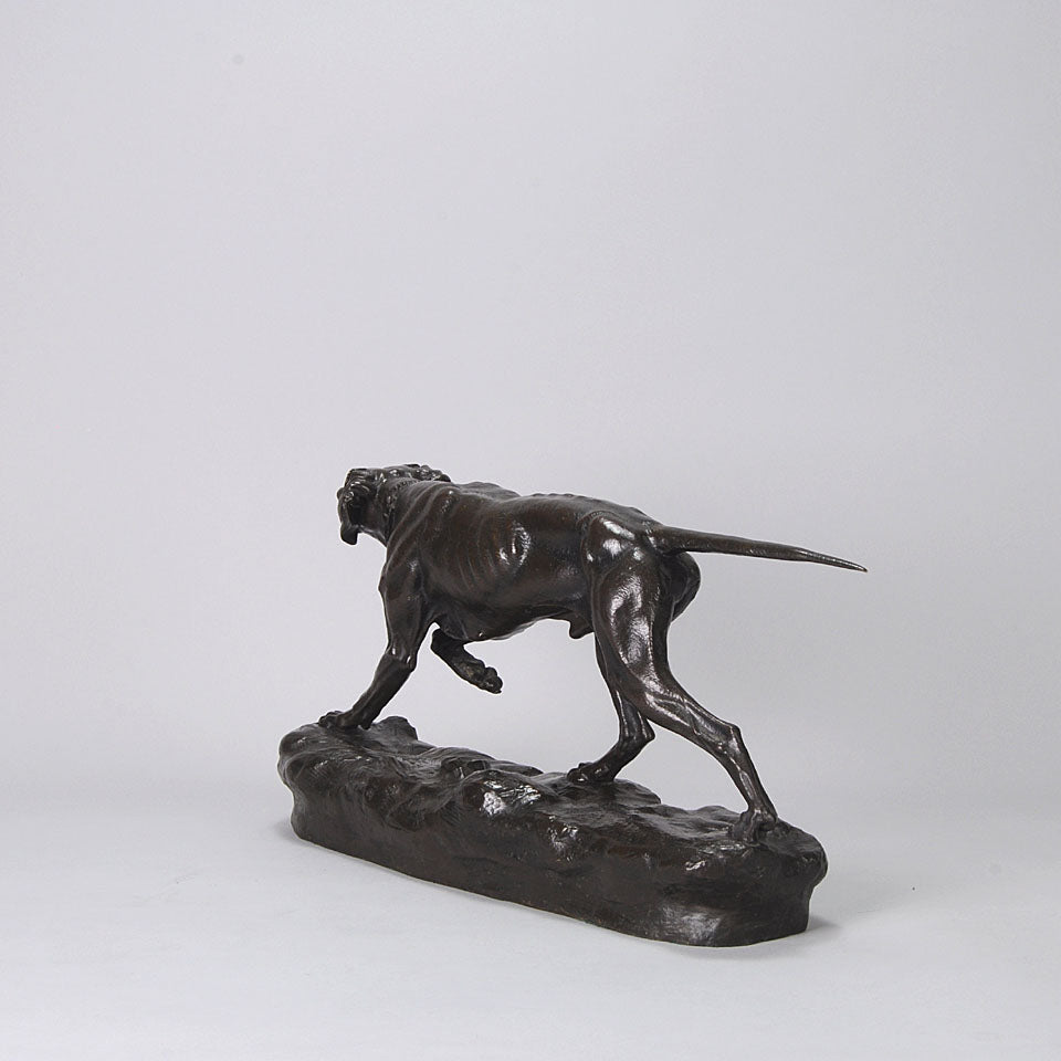 Bronze Pointer Moigniez