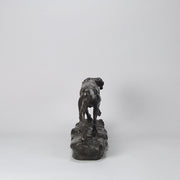 Bronze Pointer Moigniez