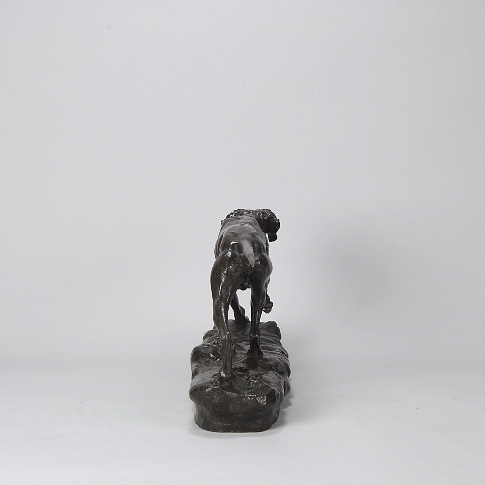 Bronze Pointer Moigniez