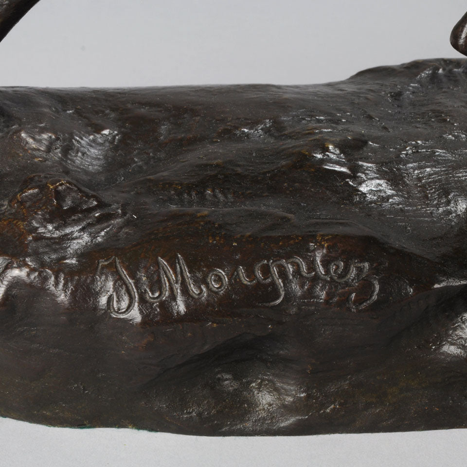 Bronze Pointer Moigniez