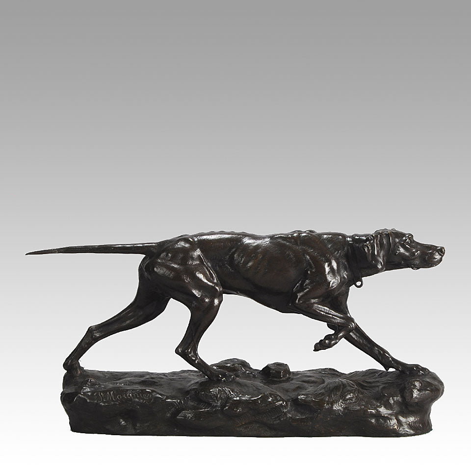 Bronze Pointer Moigniez
