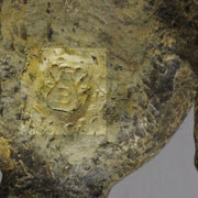 Austrian Bronze by Franz Bergman Kangaroo