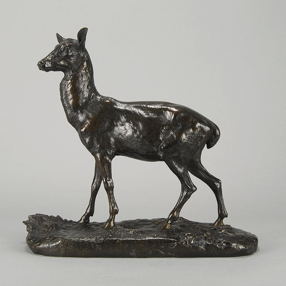 "Standing Doe" by Paul Comolera