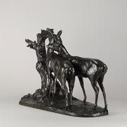 Maximillien Fiot Bronze 