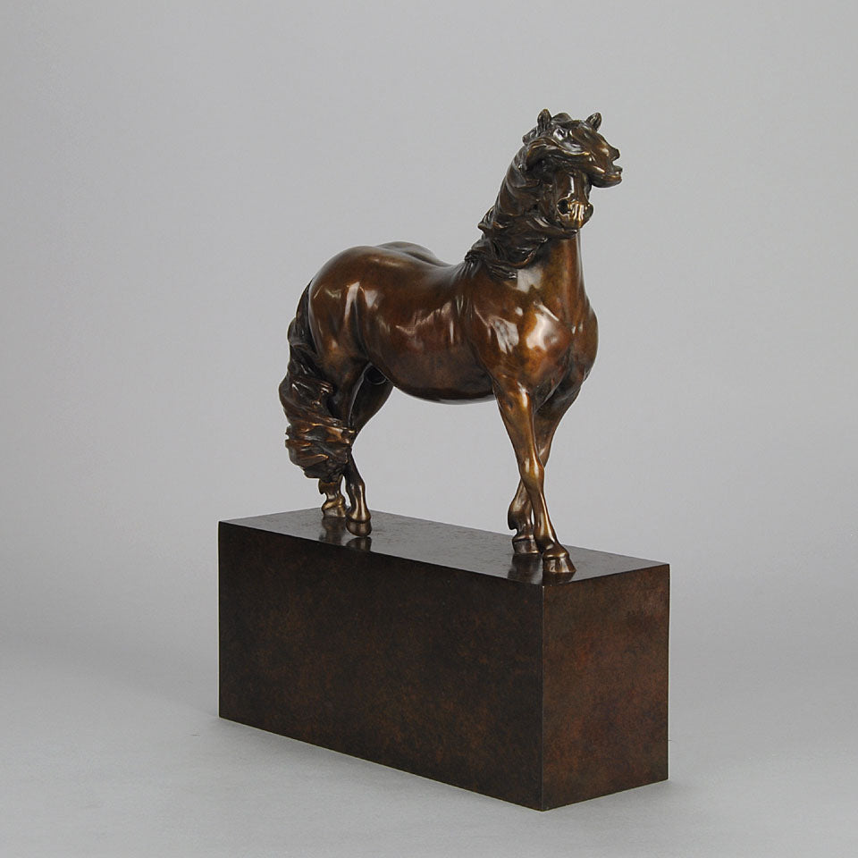 Dartmoor Pony by Nick Bibby