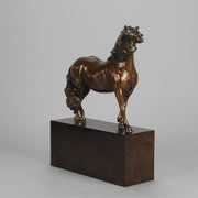 Dartmoor Pony by Nick Bibby