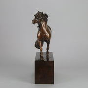 Dartmoor Pony by Nick Bibby