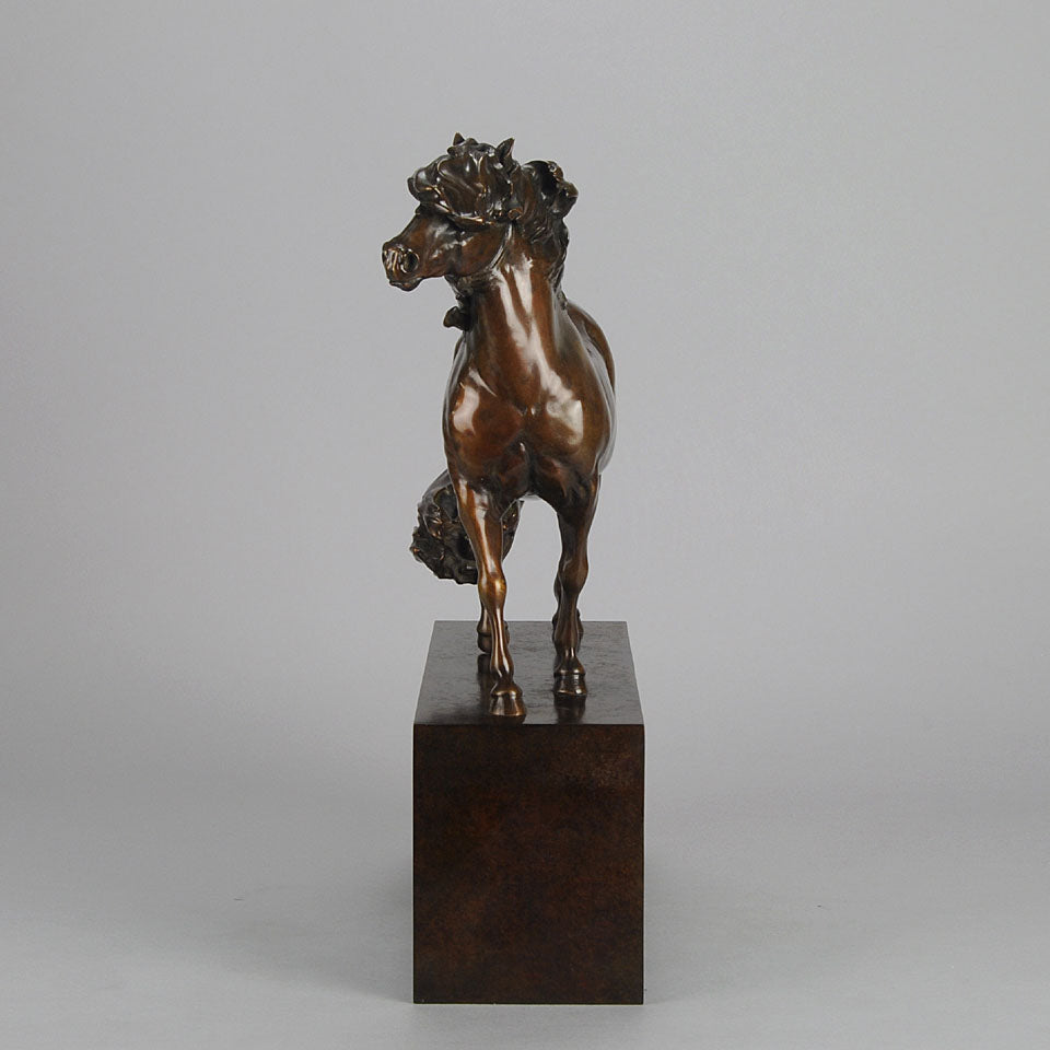 Dartmoor Pony by Nick Bibby