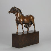 Dartmoor Pony by Nick Bibby