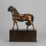 Dartmoor Pony by Nick Bibby