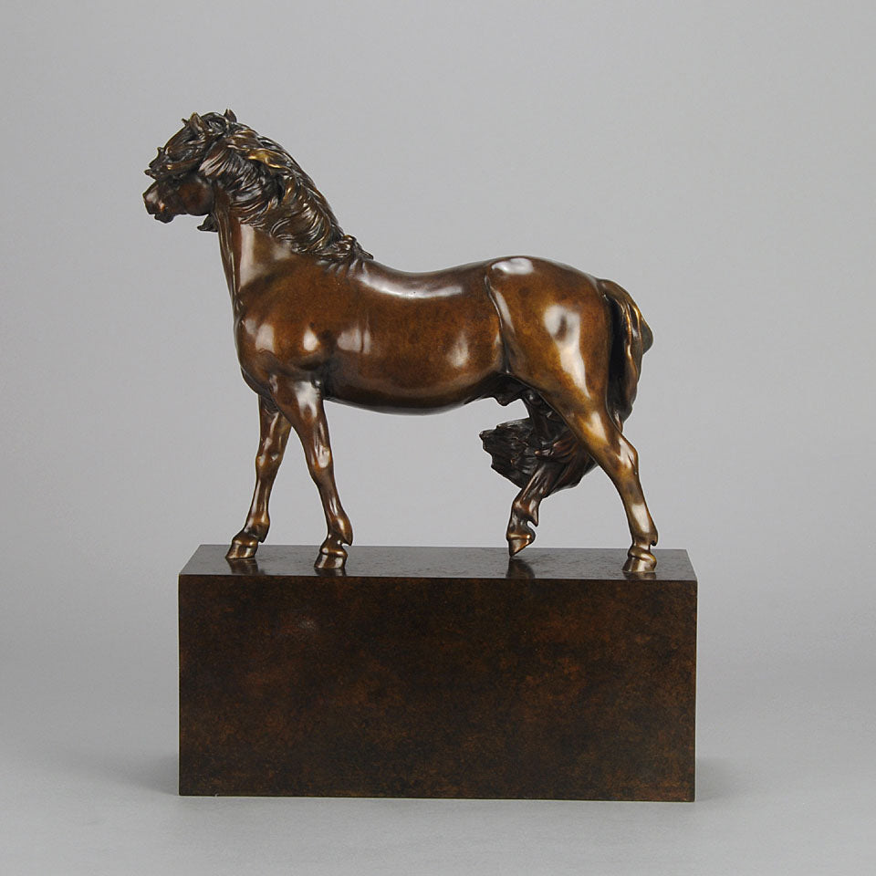 Dartmoor Pony by Nick Bibby