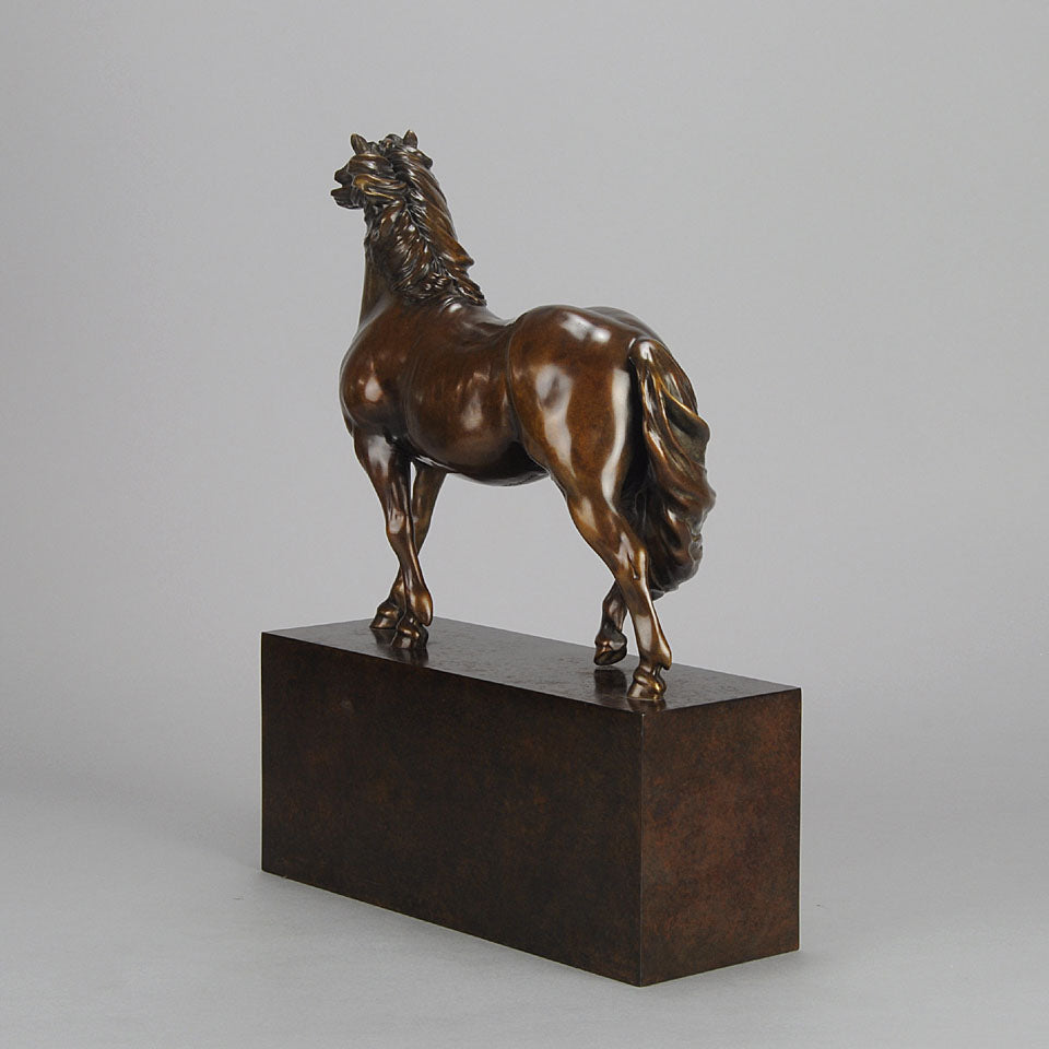 Dartmoor Pony by Nick Bibby