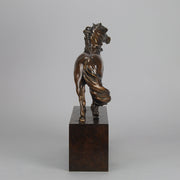 Dartmoor Pony by Nick Bibby