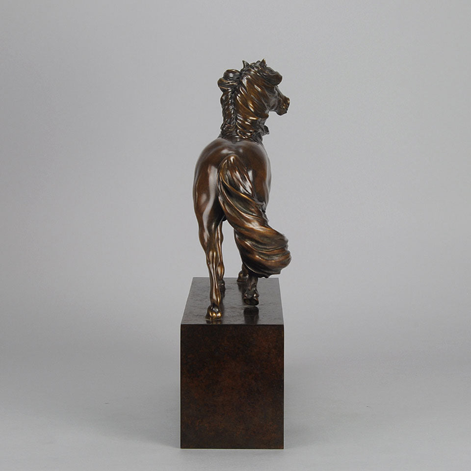 Dartmoor Pony by Nick Bibby