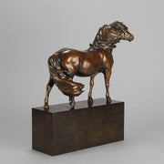 Dartmoor Pony by Nick Bibby